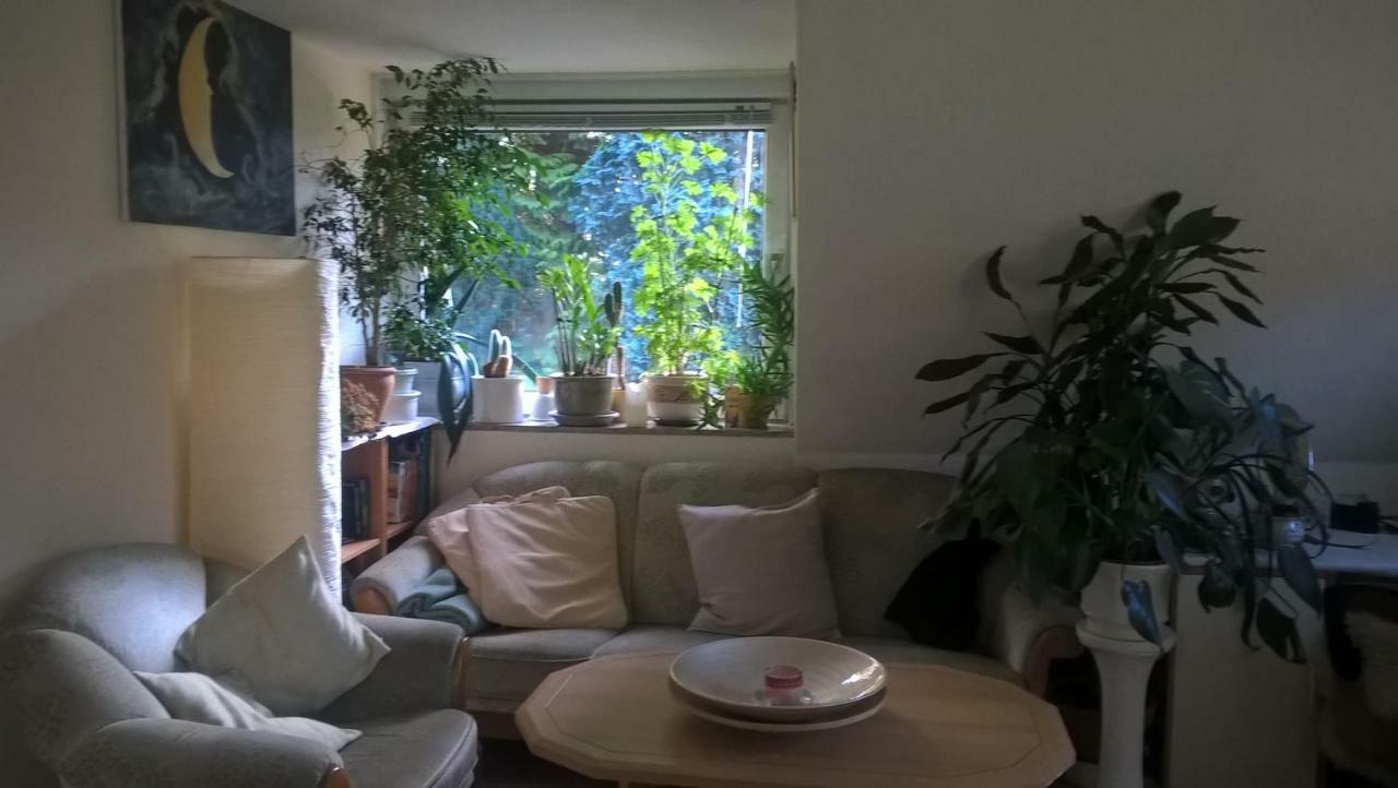 Gemuetl. Ferienwohnung Und Privatzimmer Hamburg Exterior photo